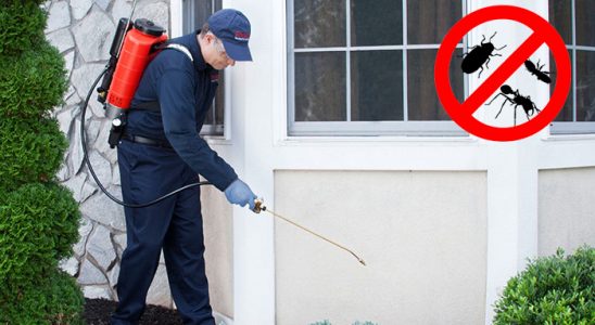 Vize Dezenfeksiyon böcek ilaçlama ve haşere kontrolü — ilaclama-tr.com